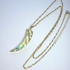 Long Abalone Claw Necklace