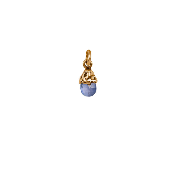 Creativity Iolite Capped Attraction Charm