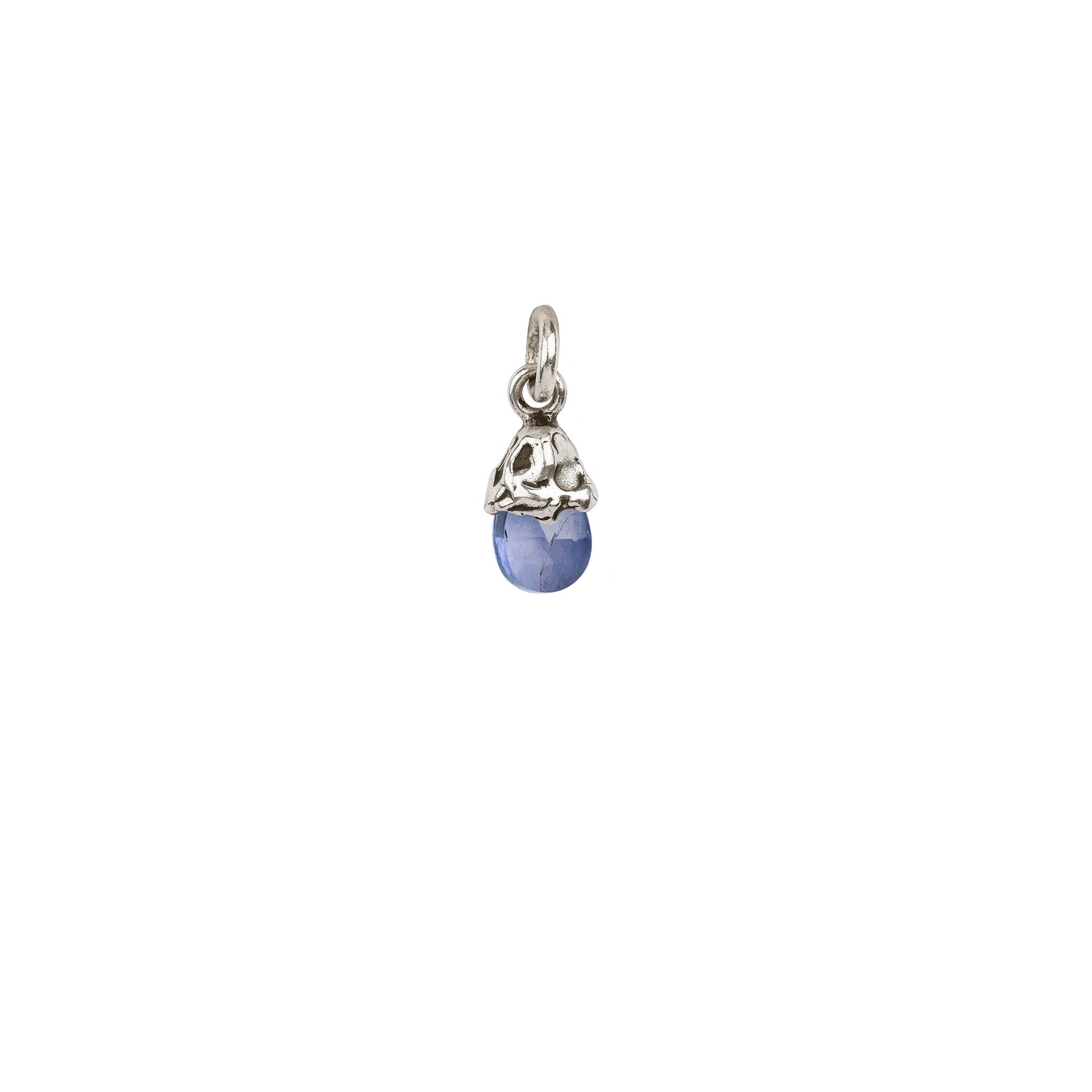 Creativity Iolite Capped Attraction Charm