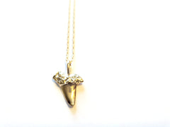 Tiny Shark Tooth - Necklace