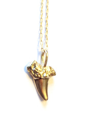 Tiny Shark Tooth - Necklace