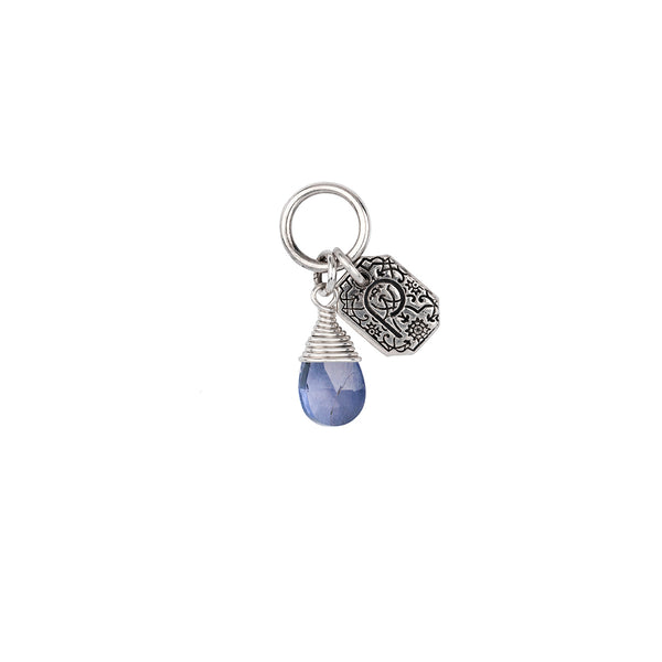 Creativity Iolite Signature Attraction Charm